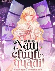 Có Nhiều Nam Chính Quá Đi!