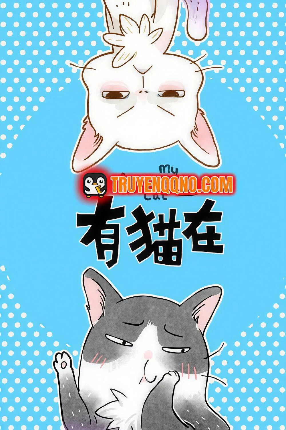 Ở Đây Có Mèo